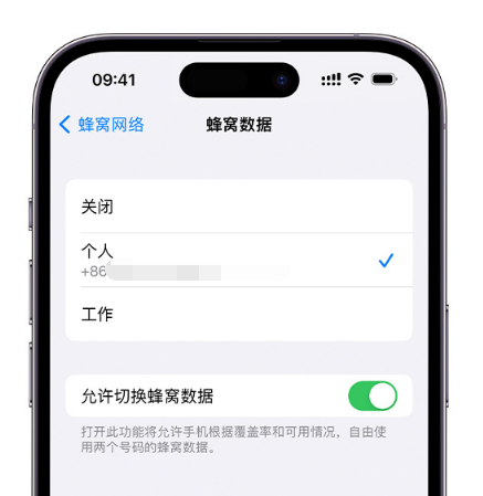 前进苹果维修服务分享如何在iPhone上使用双卡 